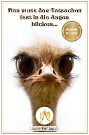 Pin Auf Einladungen Zum Geburtstag