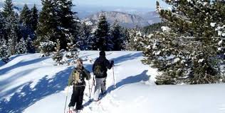 Le domaine de ski nordique de beille vous offre 14 pistes de ski tracées pour un total. Une Journee En Famille Au Plateau De Beille Toulouse Et Aux Alentours