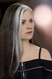 Hero Complex Beautiful Gray Hair Silver Grey Hair Hair Streaks