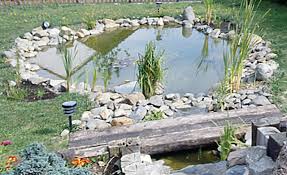Der Teichrand Selbst De Teich Naturschwimmbecken Gartenteich Gestalten