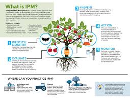 The integrated pest management (ipm) program develops and implements statewide strategies for the increased use of ipm on private and state managed lands. Benefits Of Green And Organic Pest Control Advanced Termite And Pest Control Blog