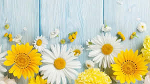 Richard Calvin Taylor