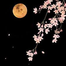 Full Flower Moon May 21 2016 Shifting Vibration