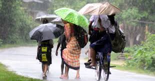 We did not find results for: Rain In Assam Latest News And Update On Rain In Assam