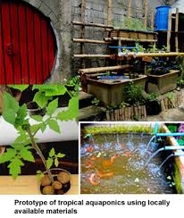 Aquaponics Sulu Garden