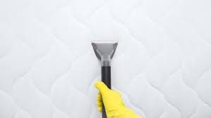 Punaise de lit tea tree. Comment Se Debarrasser Des Punaises De Lit