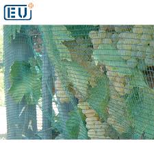 Check spelling or type a new query. 25 X 100 28 X 28 Mitre 10 Game Cheap Black Vineyard Anti Bird Wire Netting Mesh Roll Lowes Bunnings Wholesalers Manufacturers Buy Anti Bird Net Anti Bird Netting Bird Netting Suppliers Product On Alibaba Com