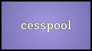 The definitions of the word cesspool has been described here with maximum details, and also fined different synonyms for the word cesspool. Cesspool Meaning Youtube