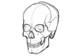 We did not find results for: How To Draw A Skull A Step By Step Guide Udemy Blog