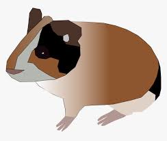 Pin the clipart you like. Hamster Png Transparent Png Kindpng