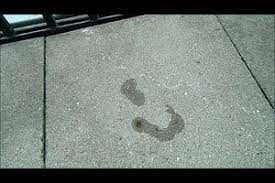 Video Olflecken Entfernen Vom Stein Geht S So Olflecken Entfernen Pflastersteine Betonpflaster