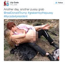 Porn Stars Are Trying to Make Pussy Great Again | by Jennifer Swann | MEL  Magazine | Medium