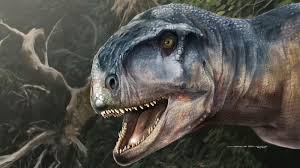 Found a fun youtube video and want to download it? Llukalkan Aliocranianus Dinosaur Discovered In Argentina Npr