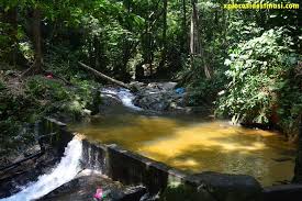 Dari kuala lumpur 48 km atau 45 minit dengan berkereta. Hutan Rekreasi Sungai Tekala Apa Yang Menarik Xplorasi Destinasi