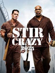 Will friendship overcome prison life in Stir Crazy 2025?