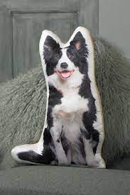 Border Collie Cushion From Www Twowoofs Co Uk Bordercollie Border Collie Collie Animals Beautiful