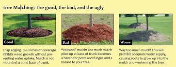 Pin On Gardening And Hobbies