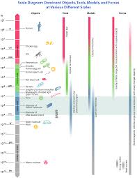 Aug 28, 2020 · calculate the size of a virus relative to a human cell. Https Nanosense Sri Com Activities Sizematters Sizeandscale Sm Lesson2student Pdf