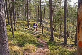Information for choosing which part of the kungsleden to hike. Der Sudliche Kungsleden Schweden Der Konigsweg