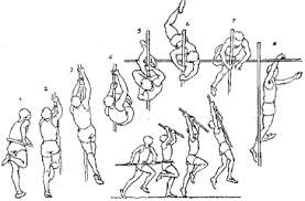 Le qi au dessus de 100 n'est pas à la portée de tous, c'est une évidence continuez de cacher vos défunts, c'est le meilleur moyen de faire comme s'ils n'avaient jamais existés, quelle belle preuve d'affection vous leur portez en les faisant disparaître. Athletisme Techniques En Haies Hauteur Longueur Et Lancer