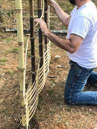Diy Bamboo Screening Bamboo Diy Bamboo Decor Bamboo Screening Fence