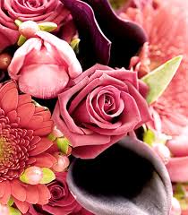 The ultimate flower shop domain name. Home Page