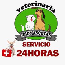 DROMASCOTAS VETERINARIA