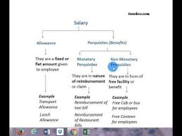 What Are Allowances And Perquisites Basic Concepts