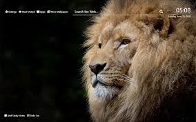 And the opportunity to see these animals roaming around in the wild may not be there in the future because there are several which are listed as vulnerable and. African Wildlife Wallpaper Hd New Tab Theme