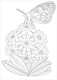 Hai friends.in my new instructable i would like to share a flower made up of blue color. Butterfly On Flowers Coloring Page Coloringbay