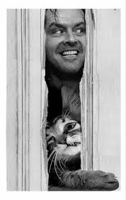 Super Cute 🥰 Meowing 😽 beauty 🐾❣️🐾