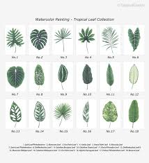 Tropical Leaf Print Set Housewarming Gift Watercolor Leaves Etsy Plants Watercolor Leaves Tropical Leaves