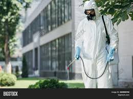 Hiring a professional for pest control service does not mean you can just simply call for service, then sit back and wait. Pest Control Worker Image Photo Free Trial Bigstock