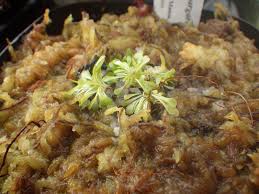 Image result for Genlisea margaretae