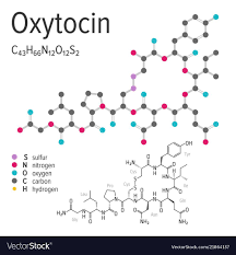 Chemical Formula Of The Oxytocin Molecule Vector Image Molecule Tattoo Molecule Art Love Chemical Formula