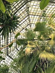 Maybe you would like to learn more about one of these? Botanischer Garten Berlin Dahlem Berlin Tipps Inspiration Travelcats