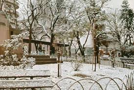 Clima em brasília, distrito federal. Curitiba Tem Neve Pela Terceira Vez Na Historia Recente Bem Parana