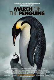 March Of The Penguins Made Me Cry March Of The Penguins Penguins Penguin Movies