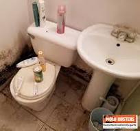 Ultimate Guide to Toilet Mold: Causes, Removal, and Prevention