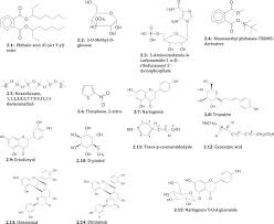 Image result for Sarcophyte