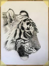 International tiger day, also known as global tiger day, was started in 2010 at the saint petersburg tiger summit. Celebrating International Tiger Day Judith Mackay Animal Artist