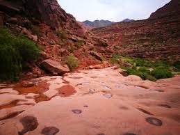 Cintis Valley A Secret Natural Wonder In Bolivia In 2020 Natural Wonders Beautiful Landscapes Adventure Tourism
