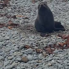 Greg Jepson (@jepo67) • Instagram photos and videos