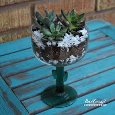Find great deals on new items shipped from stores to your door. Succulents In A Cactus Glass