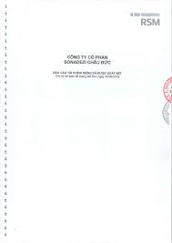 BÁO CÁO TÀI CHÍNH RIÊNG ĐÃ ĐƯỢC SOÁT XÉT Cho kỳ kế toán ...