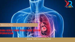 Cara Kerja Paru Paru Pada Sistem Pernafasan Rekreartive