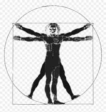 Vitruvian Man Silhouette Transparent Vitruvian Man Clipart Hd Png Download Vhv View our latest collection of free vitruvian man png images with transparant background, which you can use in your poster, flyer design, or presentation powerpoint directly. vhv rs