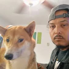 When the dog arrives with a muzzle