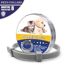 The bottom line up front is yes pest control is safe for pests. 2019 Bayer Dog Collar Mosquitoes Repellent Collar Insect Control Collar For Pet Dogs Cats Anti Flea Ticks Lice Prevent Collars Aliexpress