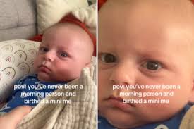 Humor news & latest pictures from Newsweek.com